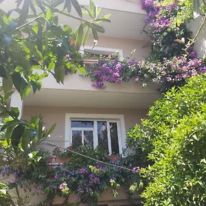 Apartment Flowers, Tirana
